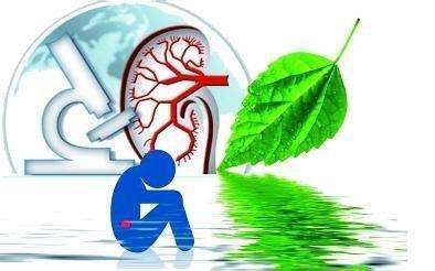 痛风的3大肾脏危害!