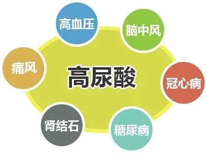 高尿酸是痛风吗?