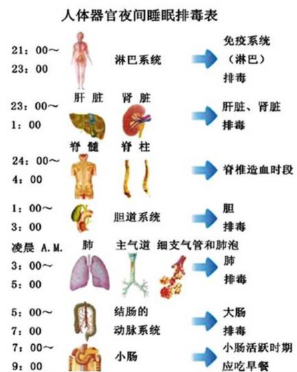 熬夜竟是导致痛风的重要因素