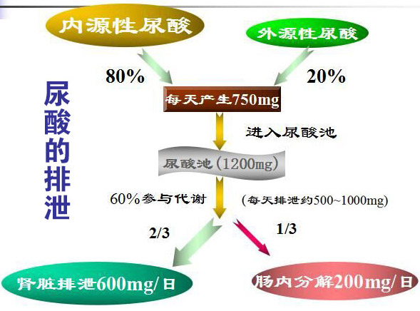 高尿酸忌口三年，为什么依旧尿酸高？